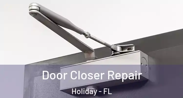  Door Closer Repair Holiday - FL