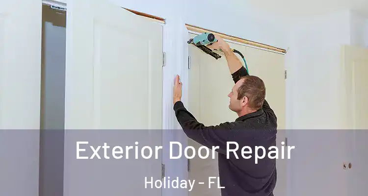  Exterior Door Repair Holiday - FL