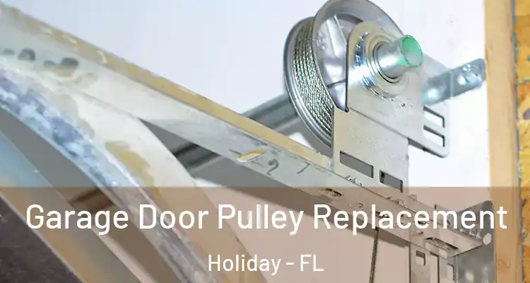  Garage Door Pulley Replacement Holiday - FL