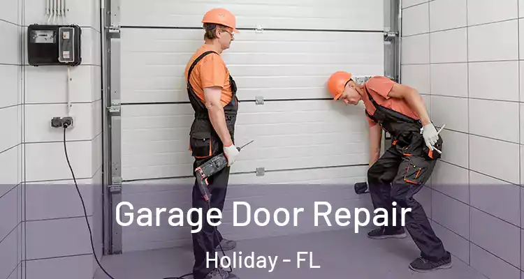  Garage Door Repair Holiday - FL