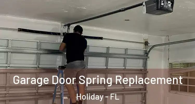  Garage Door Spring Replacement Holiday - FL