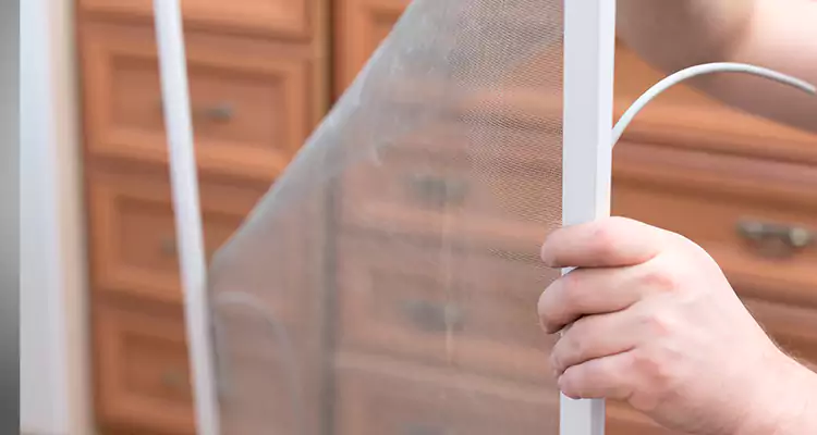 Privacy Mesh Screen Door Installation in Holiday, FL