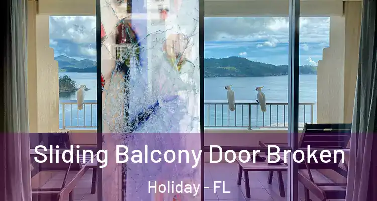  Sliding Balcony Door Broken Holiday - FL