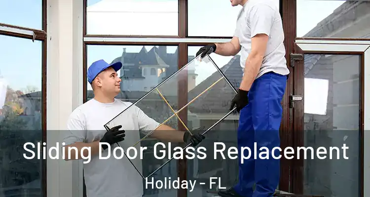  Sliding Door Glass Replacement Holiday - FL