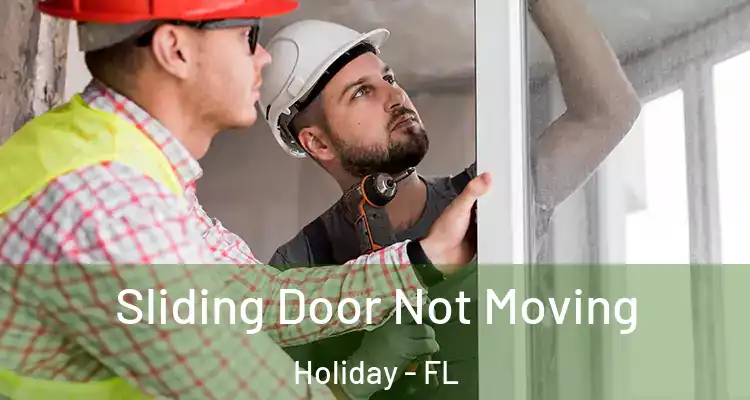 Sliding Door Not Moving Holiday - FL