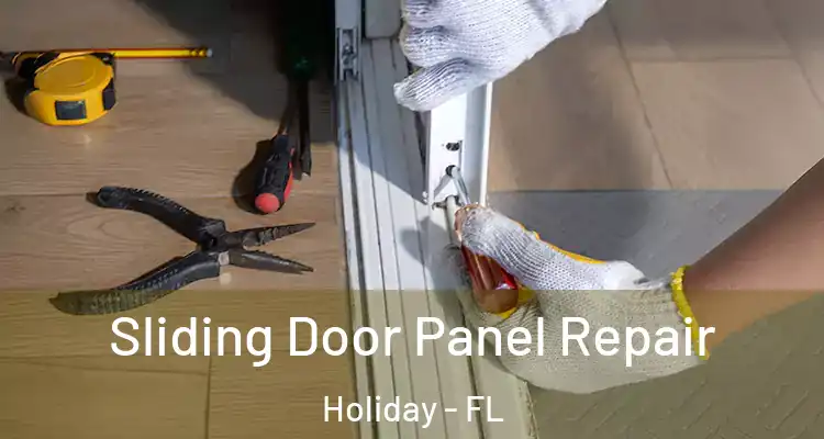  Sliding Door Panel Repair Holiday - FL