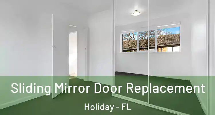  Sliding Mirror Door Replacement Holiday - FL